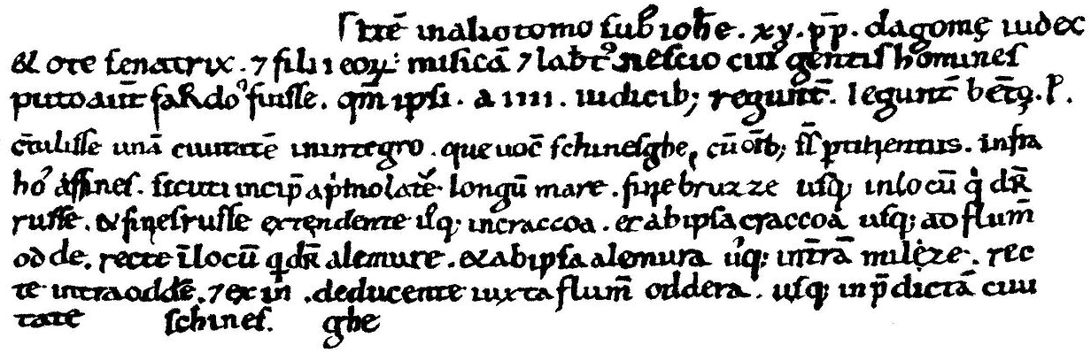 the document, printed in 
heavy black, Medievil Latin script