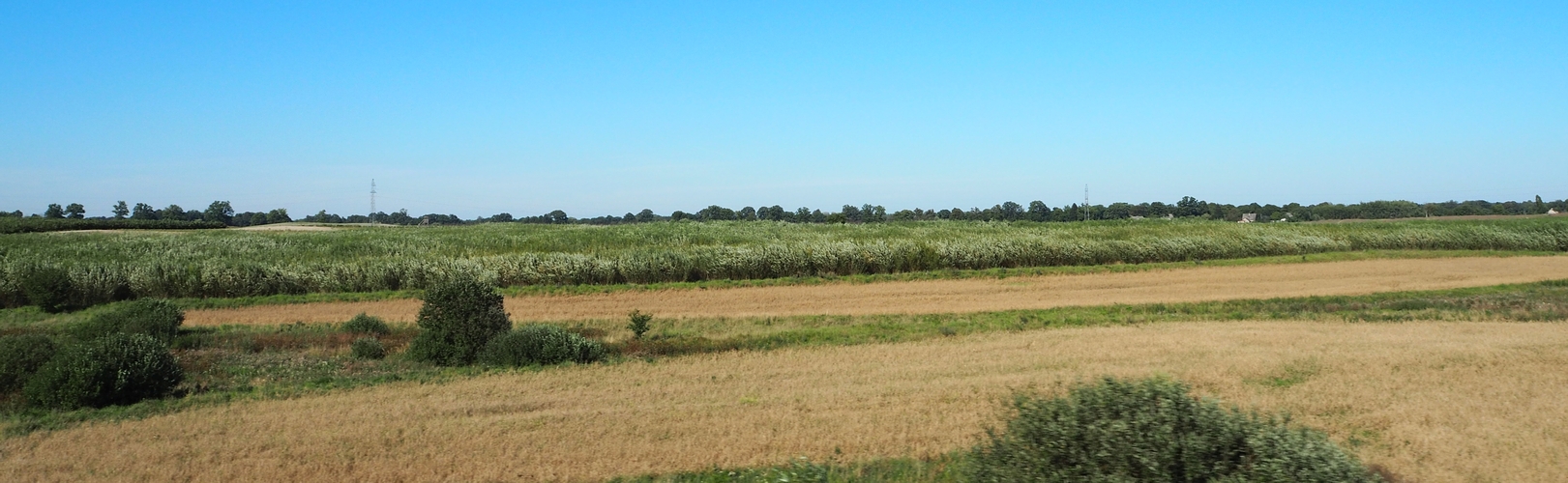 Fields, harvested in 
the foreground, flat, with trees in the background.