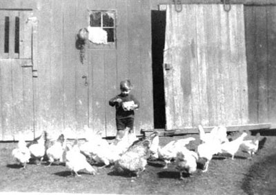 Douglas 
feeding the chickens