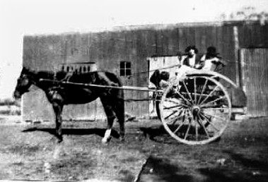 Gertrude 
Schimanski with Ngaire and friend in the milk cart