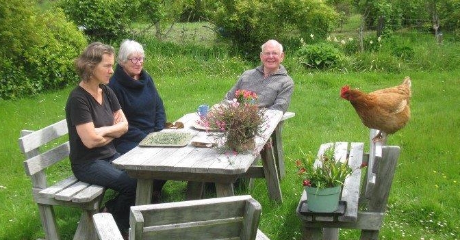 Emeritus the 
hen on the back of a garden chair with friends on the other sides of the table