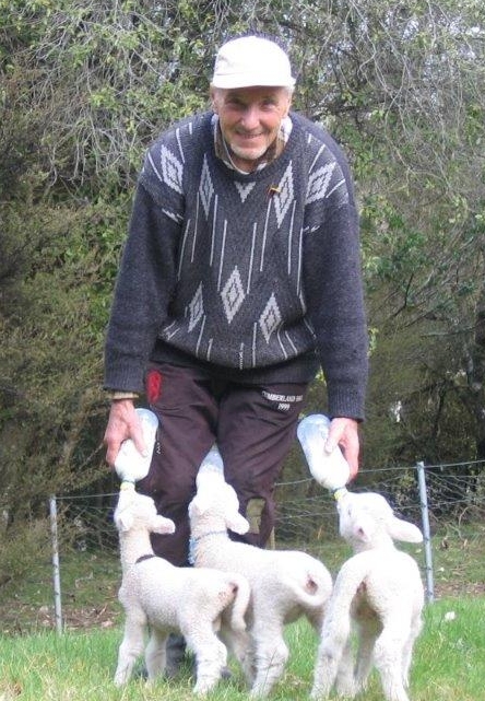 Bronek feeding the 
same lambs