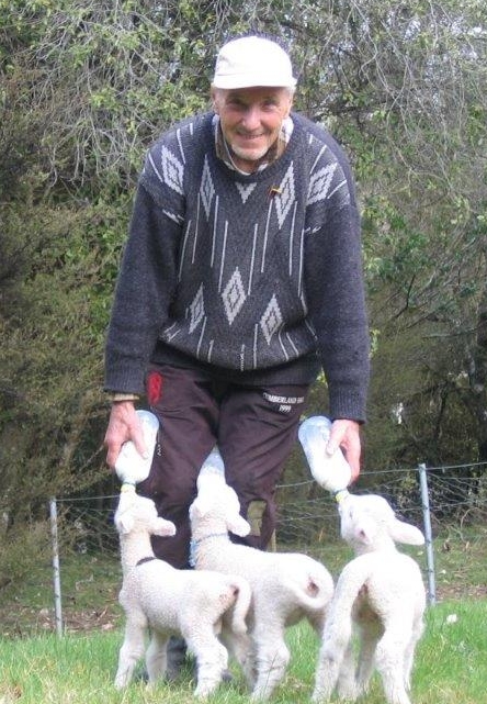 Bronek feeding the 
same lambs