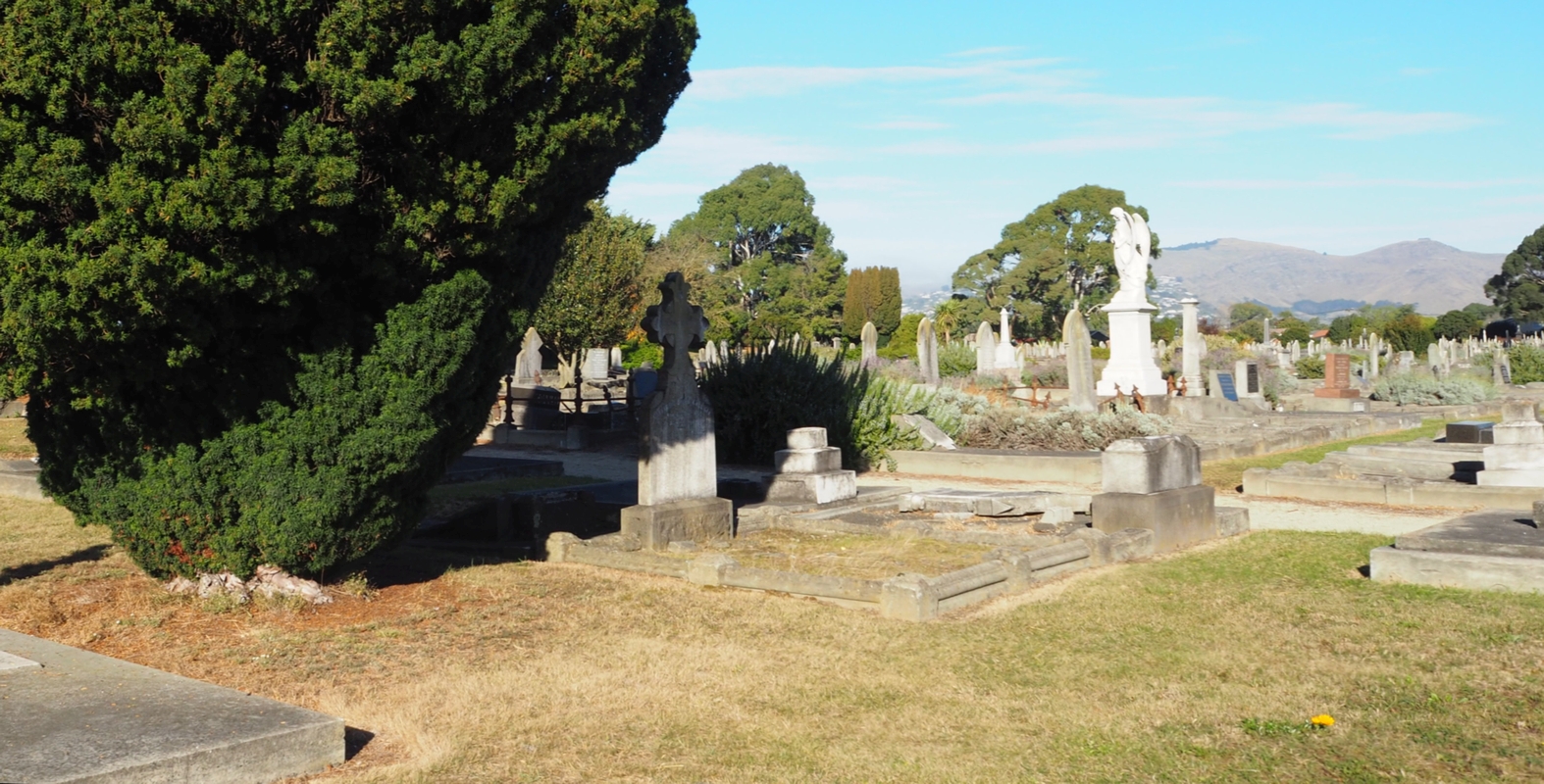 A view of 
the Linwood cemetery with the gazania barely visible in the front right and the Port Hills in the background. A sunny day