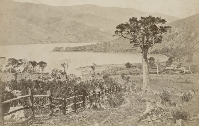 A sepia photograph 
from the top of a hill towards the sheltered bay. A low, wooden fence runs down the hill from the left. On the right, in the 
upper cleared foreground is a single tree, and there is a homestead in the valley below.