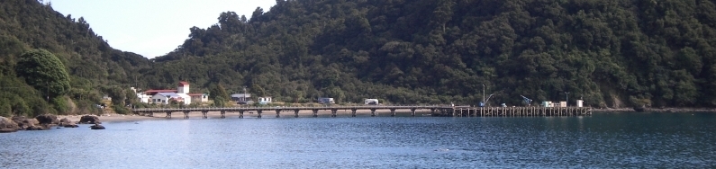A slice of 
Jackson Bay in 2010, showing the few buildings and jetty dwarfed by the densly forrested hills.