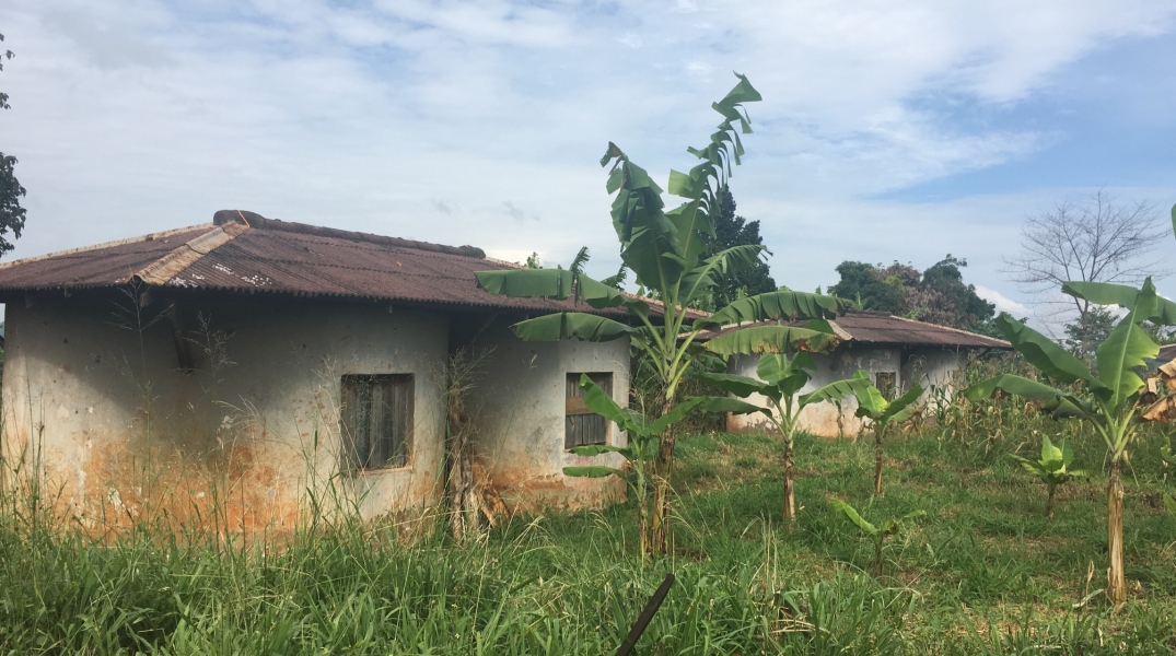 A 2018 pic of 
houses in Masindi