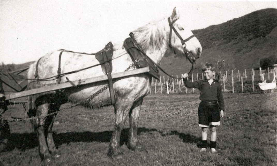 Barefooted Kazik, in 
shorts and a long-sleeved white open-neck shirt, holds the placid black cat and beams.