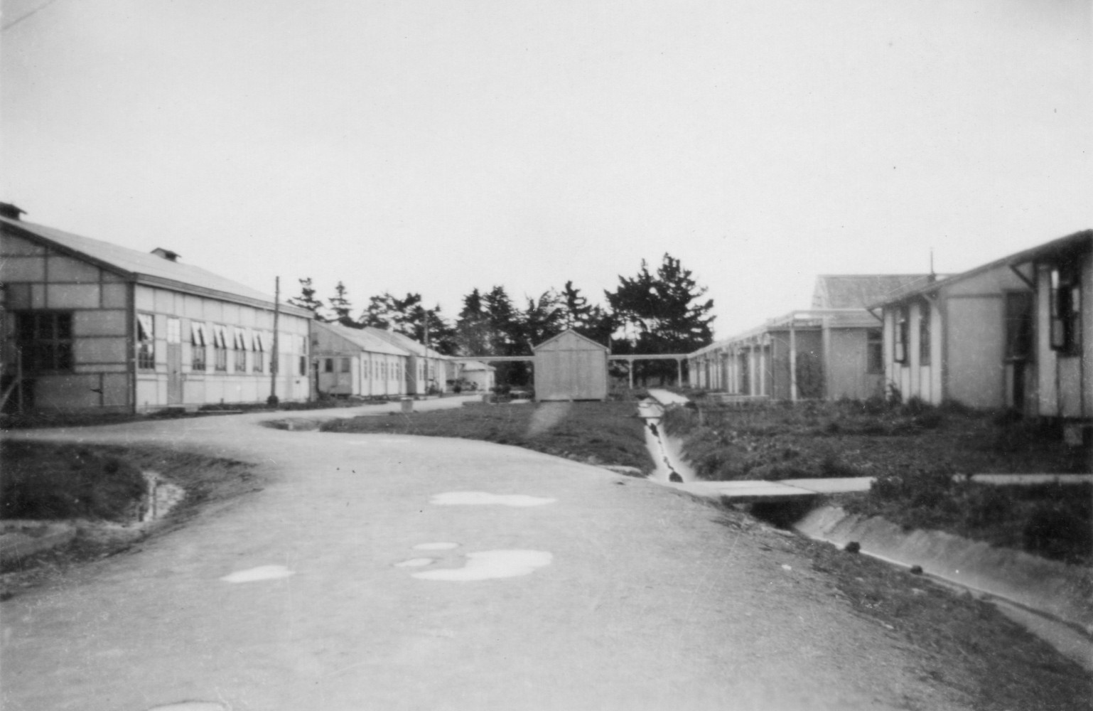 Taken from a bend in 
the road, a shot of the larger hall on one side and the ends of the girls' buildings on the right.