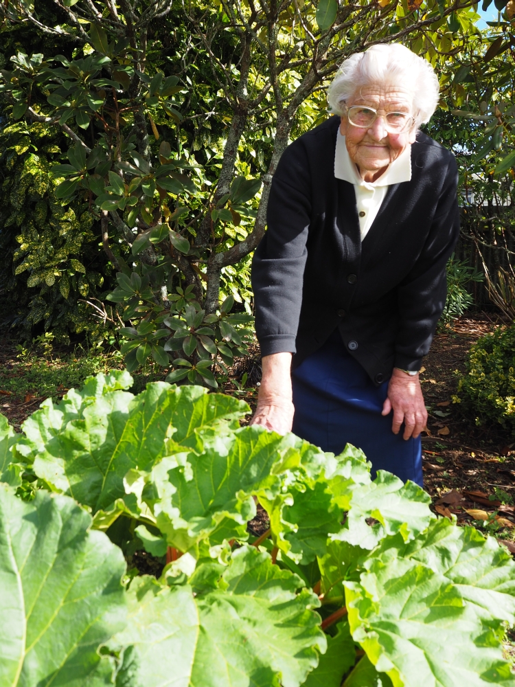 Therese 
Kowalewski in her garden leaning over some huge rhubard leaves