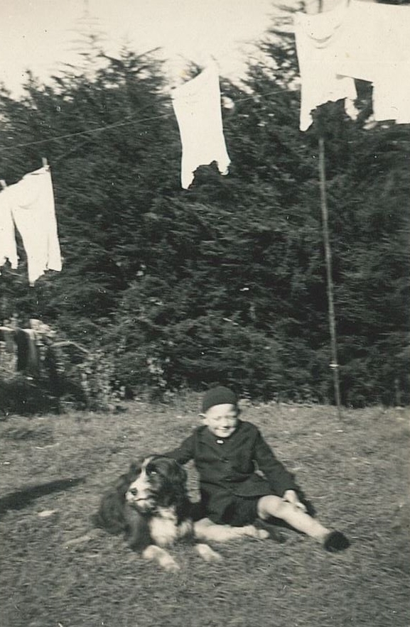 Slightly blurry 
black and white photograph of a boy aged about seven, in school uniform, sitting on the grass with a huge hairy dog, in front 
a high hedge. Some washing, unclear what but white, is still on the line.