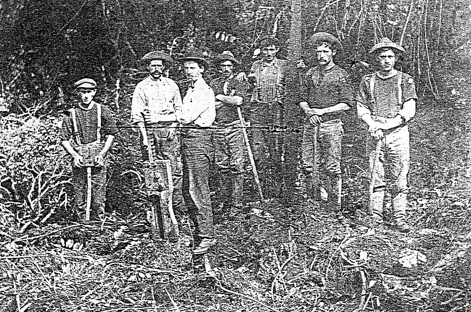 John and 
Joe Crofskey with a group of tree fellers