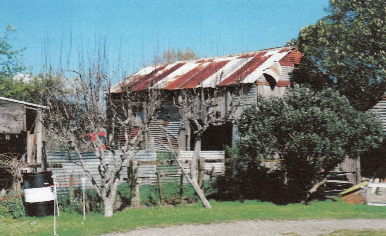 The old corrugated 
iron barn, rusting roof, in a disheveled yard, behind a corrugated iron fence, in front of which are two leafless fruit 
trees