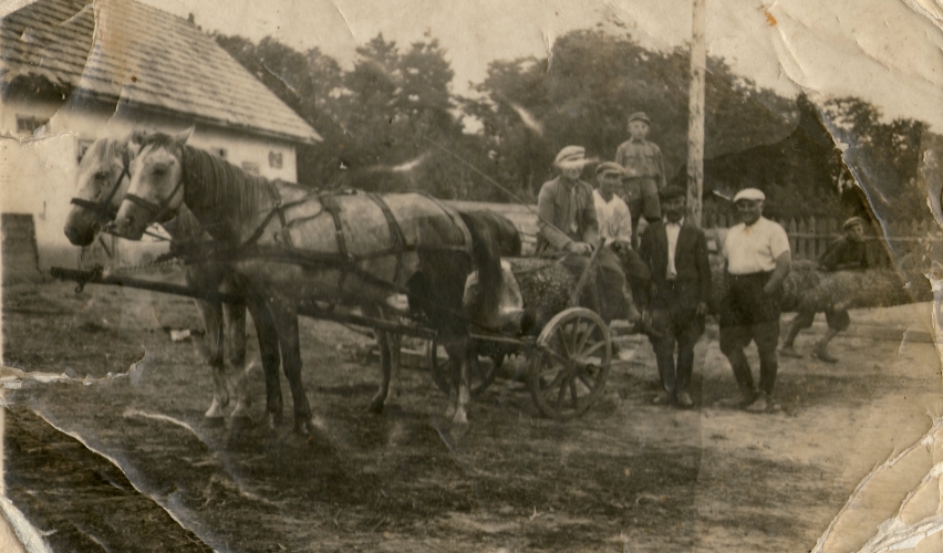 Group 
surround a cart carrying a log. Bogdan on the log behind his father, driving