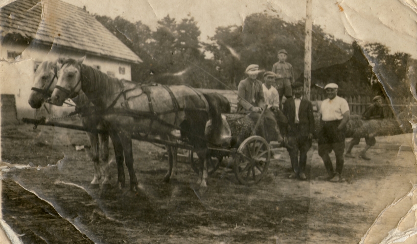 Group 
surround a cart carrying a log. Bogdan on the log behind his father, driving