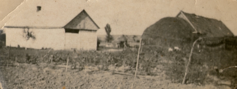 The 
Marchewa's farm in Jazłowiecka