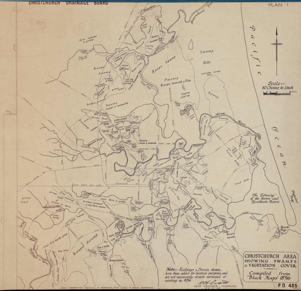 1856 map of 
Christchurch showing different vegetation.