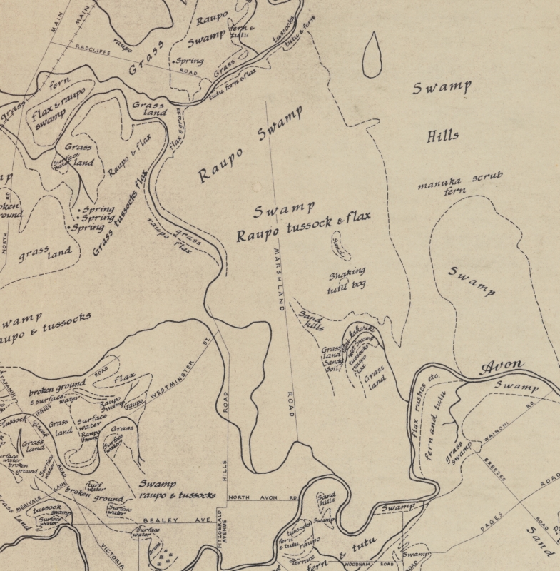 Close-up 
of the Marshland area of 1856 Christchurch vegetation map.