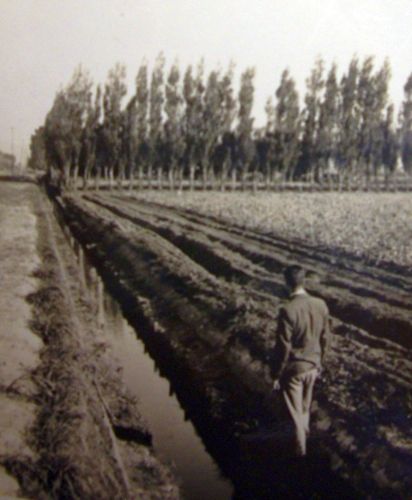 Man with back to camera 
standing at the side of No. 1 Drain