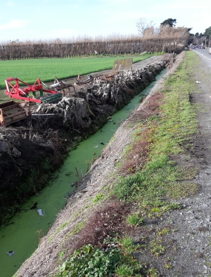 2016 Drain
alongside Mairehau Road, Marshland