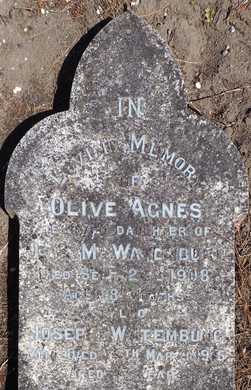 Headstone of 
Joseph Watemburg and his daughter, Olive