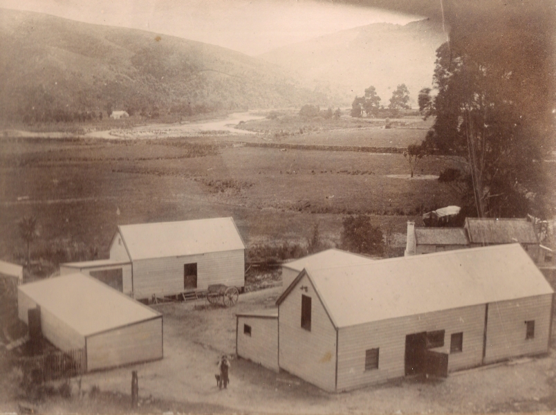 The 
woolsheds built by August Orlowski senior