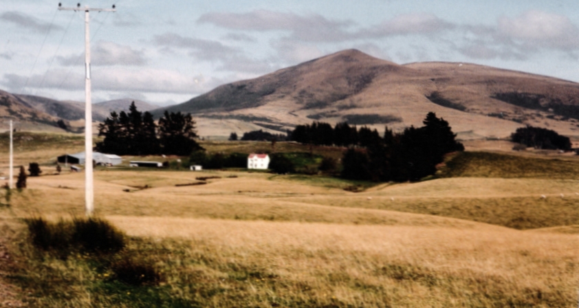 Clifton Park, 
pic taken from SH1