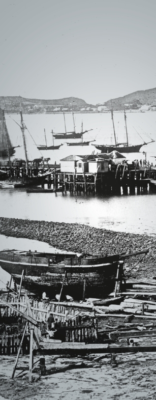 a black 
   and white vertical slice of the view from the Auckland waterfront over the harbour to Devonport in the background