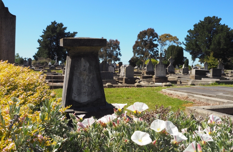 A plain cement plinth, about a metre high, behind flowering shrubs, the front crudely plastered over