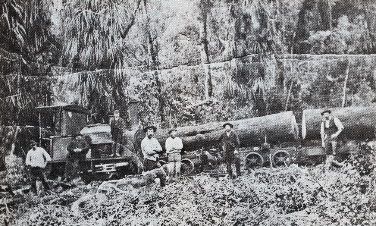 Seven men standing in front 
of an engine pushing two logs at least a metre in diameter. A younger lad stands on the engine. Cleared bush in the front, 
several cordylines at the back.