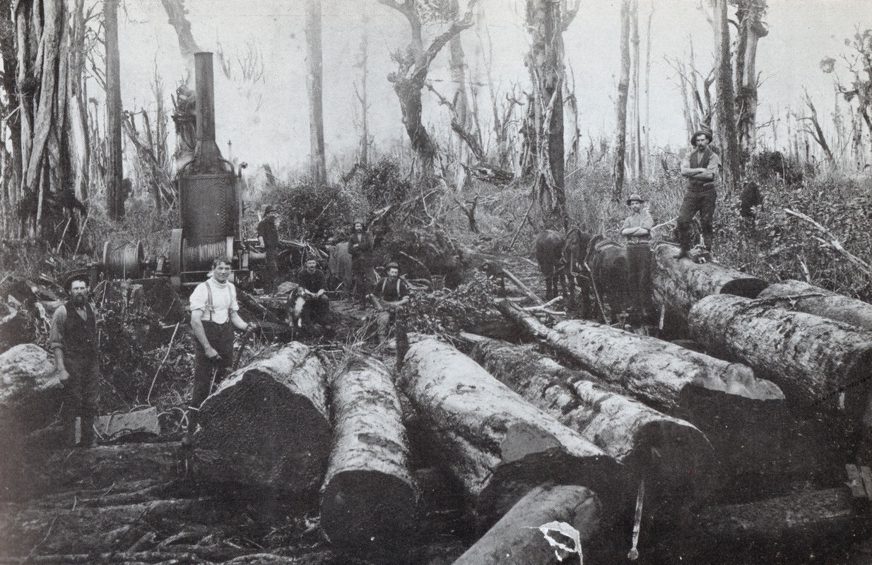 Black and white 
photograph of a bullock and horse teams, and 12 men, in a rocky part of the river.