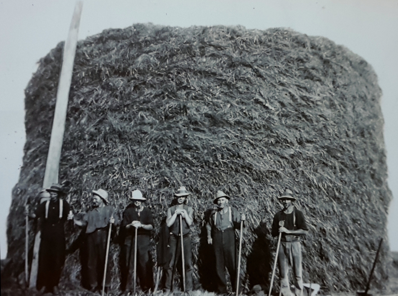 Black and white 
photograph of a bullock and horse teams, and 12 men, in a rocky part of the river.