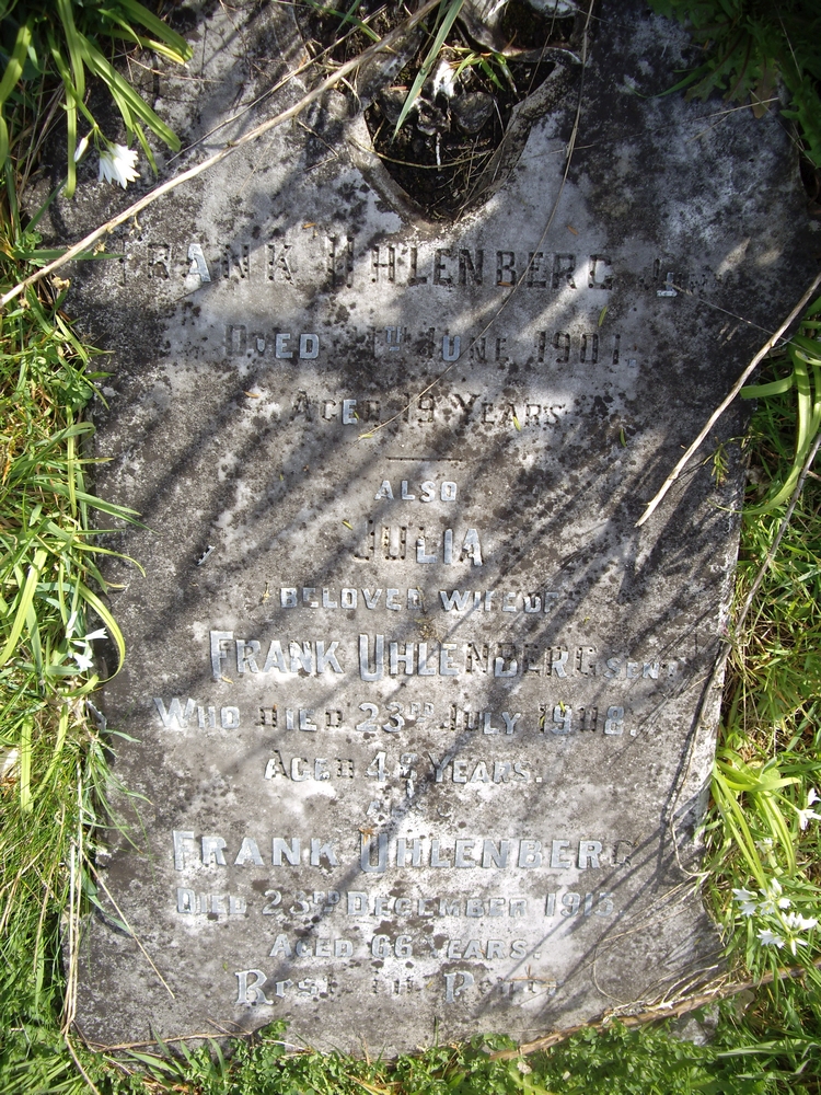 The Uhlenberg headstone lying among the grass at the Midhirst Old cemetery.