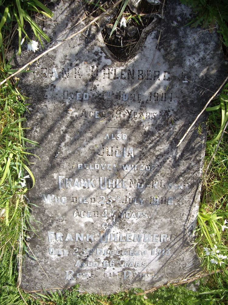 The 
gravestone of Frank and Juila Uhlenberg and their son Frank, among the grass and garlic weed in the cemetery. 
