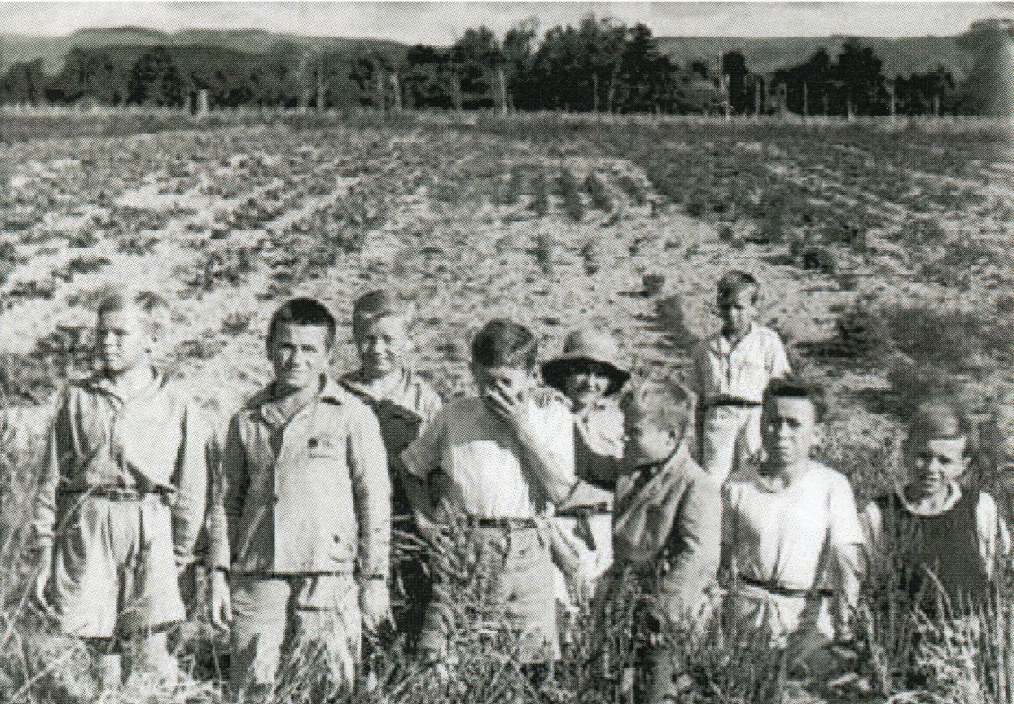 Nine boys in the 
foreground of the Pahiatua vegetable garden.