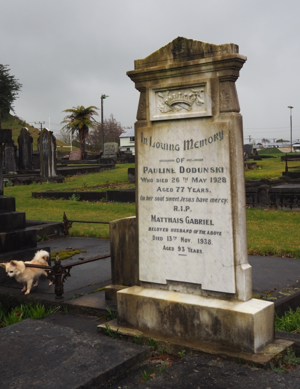 The white Dodunski headstone, looking damp, dull, and wet. On one side is one of Sr St Martha's dogs pushing under a low railing. 