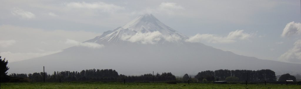 Mt Taranaki in the haze, the mountain fully visible but pale and with a few whispy clouds  below the peak. In front, trees and a slice of paddock.