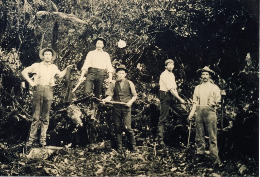 Five young men pause in a clearing in extremely dense bush. They are all holding implements.